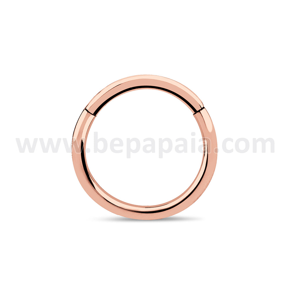 Surgical steel hinged segment ring 4 colors. 1.2x8 & 10mm