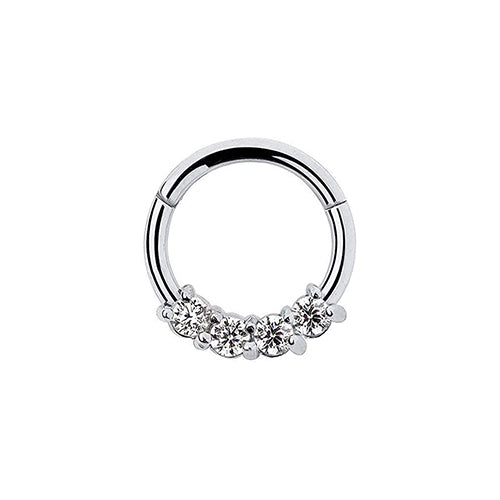 Surgical steel hinged segment ring fancy