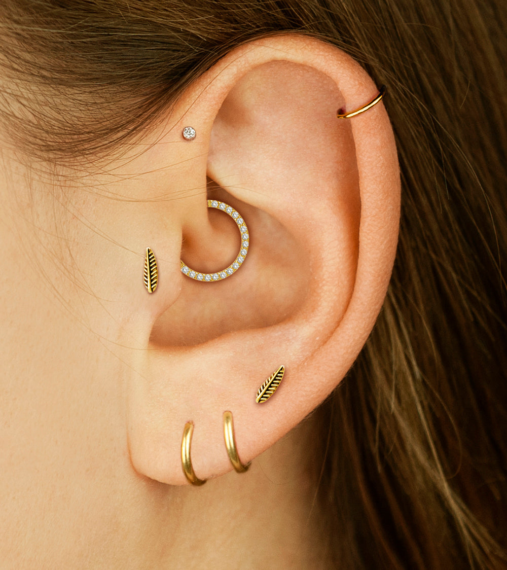 Surgical steel tragus with leaf