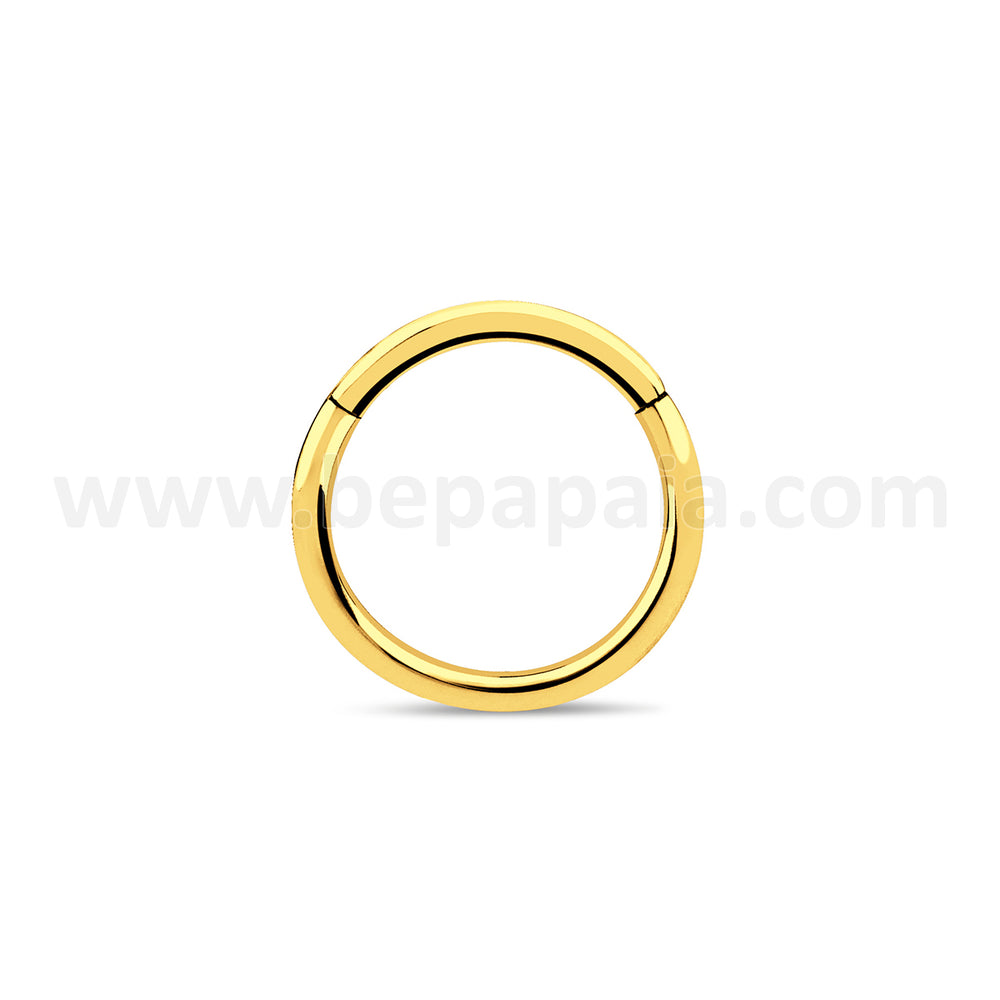 Gold steel segment ring 0.8x8,10mm